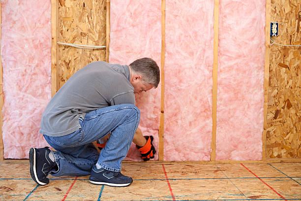 Best Commercial Insulation in New Sharon, IA